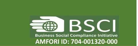 amfori BSCI logo